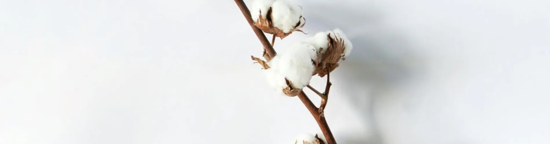 Ποιότητα στις πετσέτες