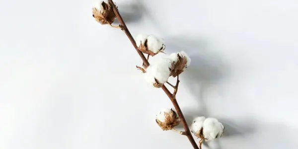 Ποιότητα στις πετσέτες