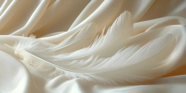 Σεντόνι βαμβακοσατέν όλα όσα θέλετε να μάθετε